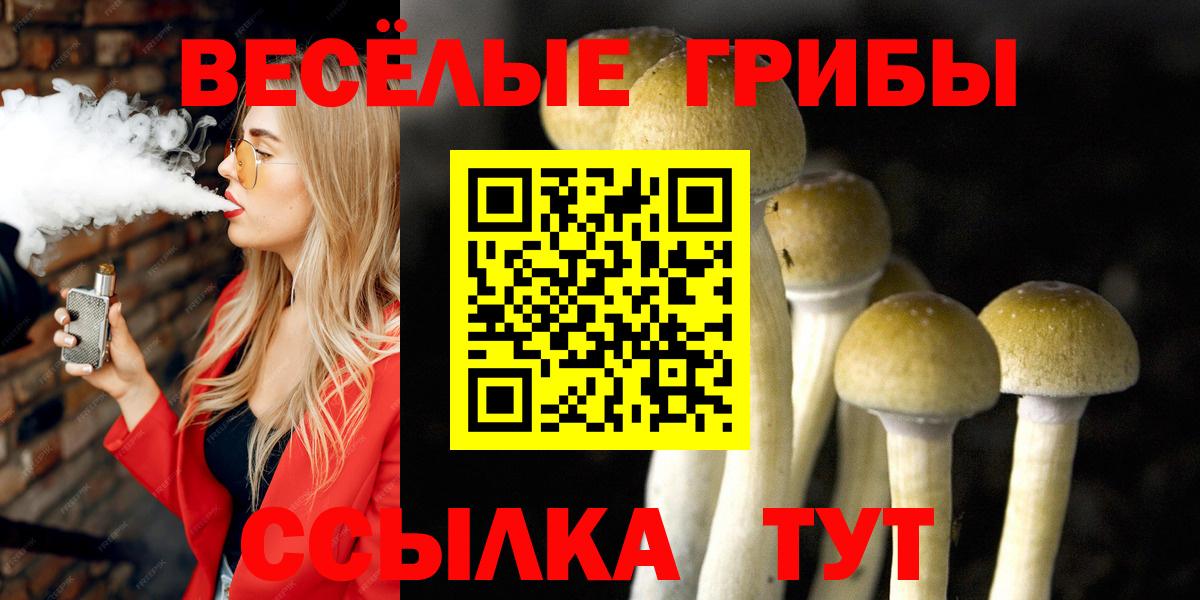 Галлюциногенные грибы Psilocybine cubensis Сызрань